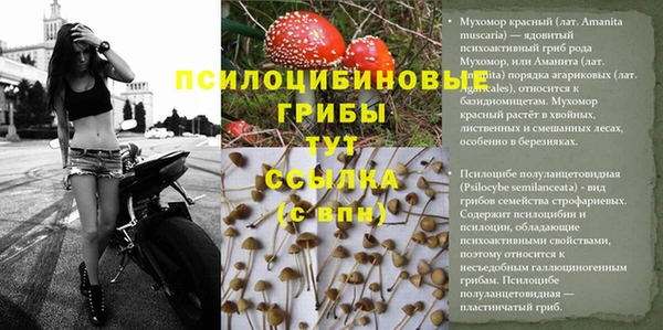 трава Верхний Тагил