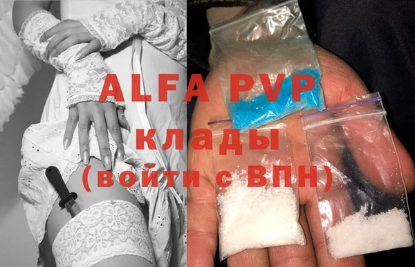 гидра Володарск
